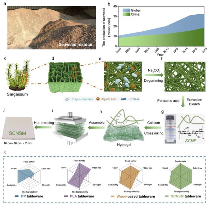 中科大俞書(shū)宏院士團(tuán)隊(duì)AM:可食用、超強(qiáng)、熱穩(wěn)定好的海藻基結(jié)構(gòu)材料,可生物降解餐具新選擇!