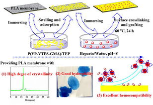 寧波材料所在生物基聚合物微孔膜制備及改性方面取得研究進展